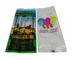 High quality custom printed Heat Seal clear PE popsicle plastic bag supplier