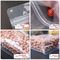 Resealable Doypack Clear Transparent Plastic Stand Up 8 Side Quad Seal Block Bottom Gusset Box Pouch Zipper Bag supplier
