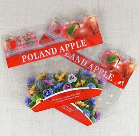 Standing Up Customized Colorful Zip-lock PET Laminated Packaging Bags for fruit and Vegetables Packing supplier