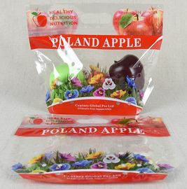 Standing Up Customized Colorful Zip-lock PET Laminated Packaging Bags for fruit and Vegetables Packing supplier