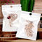 Transparent Window Pearl White Resealable Ziplock Flat Mylar Display Plastic Zipper Bag Hang Hole Clear Front supplier